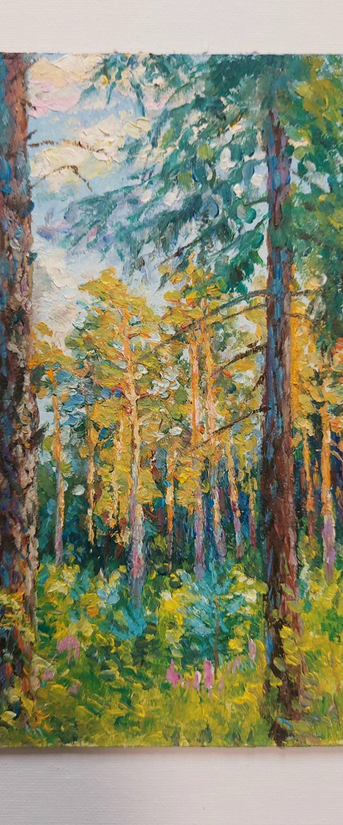 Sunset in the Pine Forest by Ekaterina Orlova