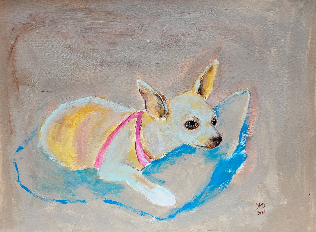 Expressive Animal Acrylic Painting By Ksenia June, 17 X 12", Are You Always Watching Me Chihuahua Portrait, Original Artwork