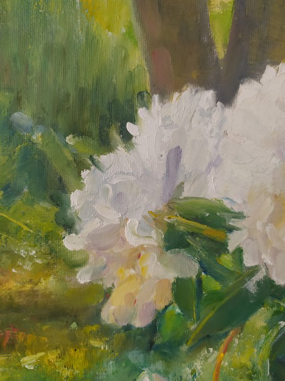 Peonies on the bench