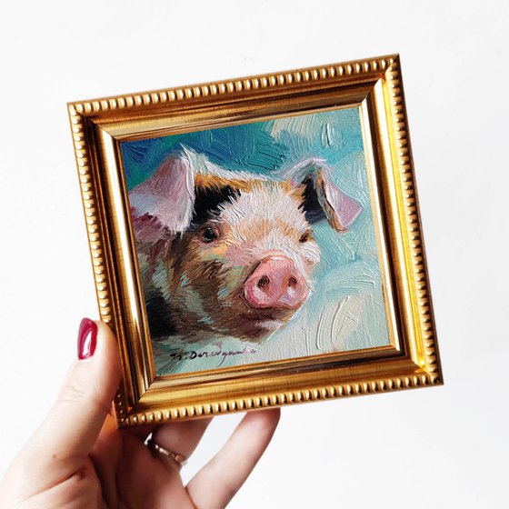 Pig portrait