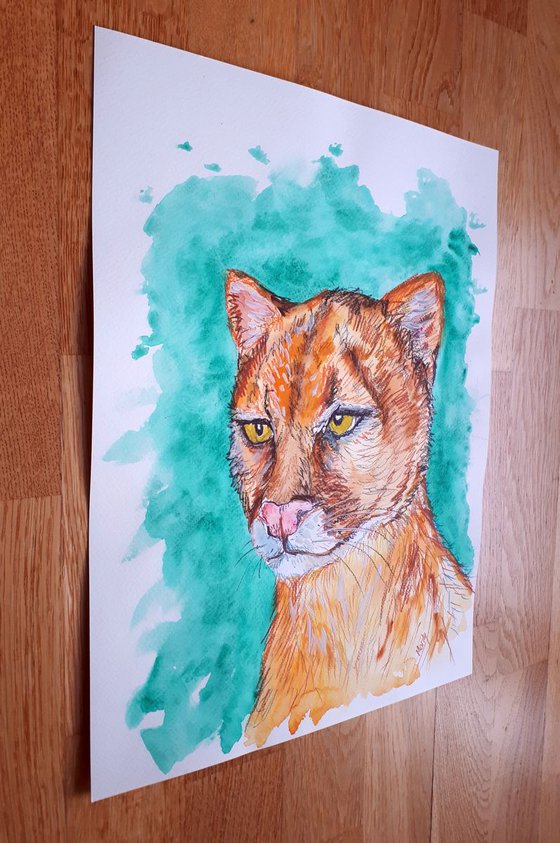 "Jaguarundi"