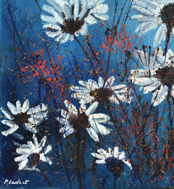 Daisies