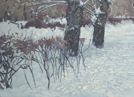 Snow-covered boulevard in Maryino