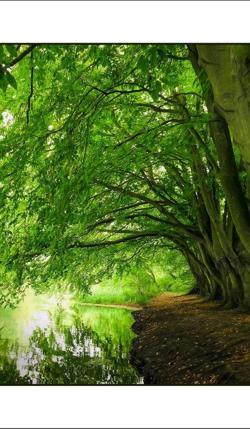 Golden river by Martin  Fry