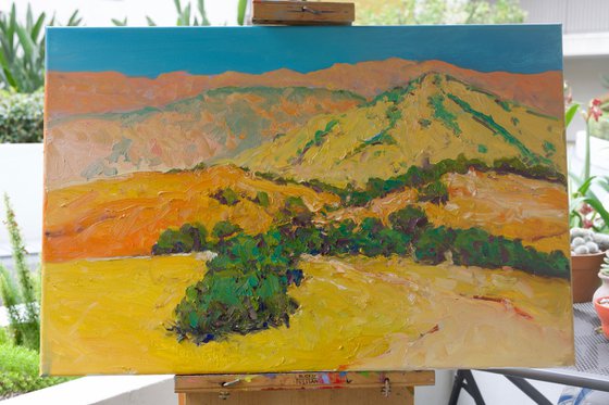 Summer. Mountains in Calfiornia