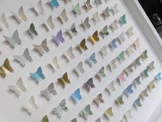 Wallpaper Butterfly Box