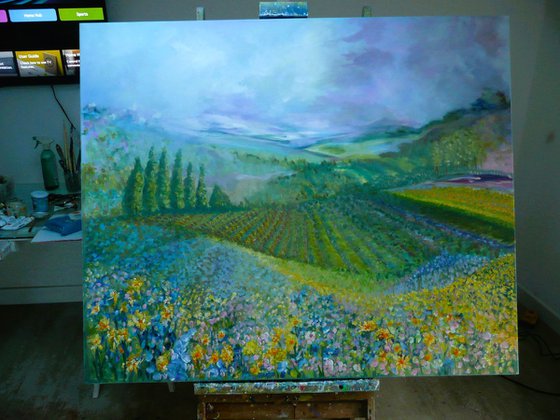 Lavender in Provence