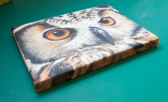 Owl face 6