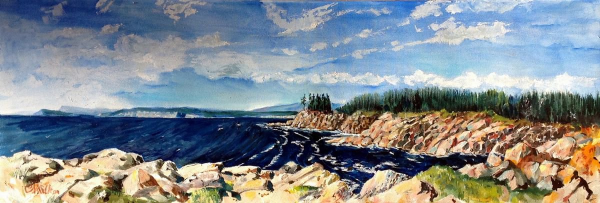 Landscape Oil Painting By Chris Walker, 30 X 10, Off Lakies Head, Original Artwork