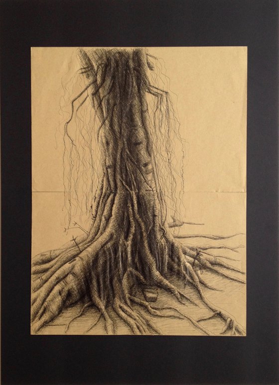 Banyan Tree 2
