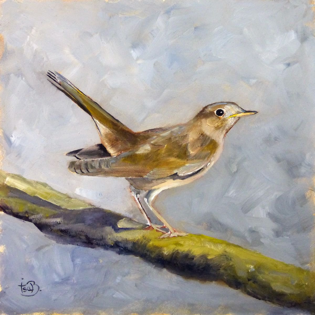 Nightingale by Isabelle Boulanger