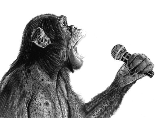 Monkey Man (Rolling Stones)