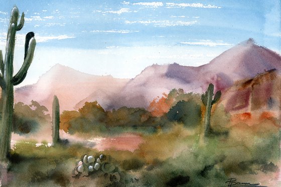 Saguaro Valley