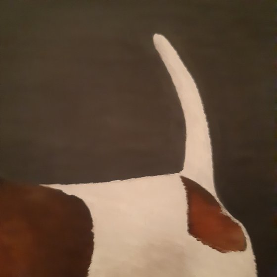 Jack Russel