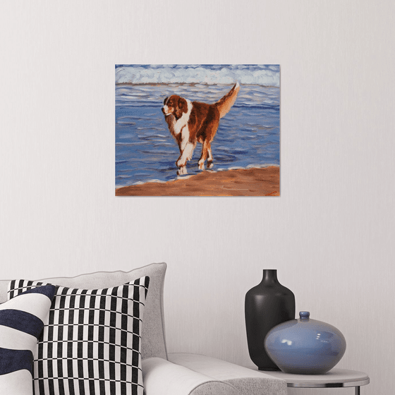 Dog at the sea 5