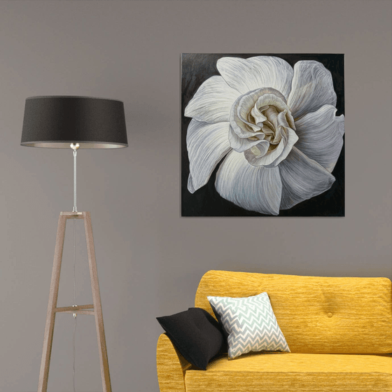 White Camellia Bloom