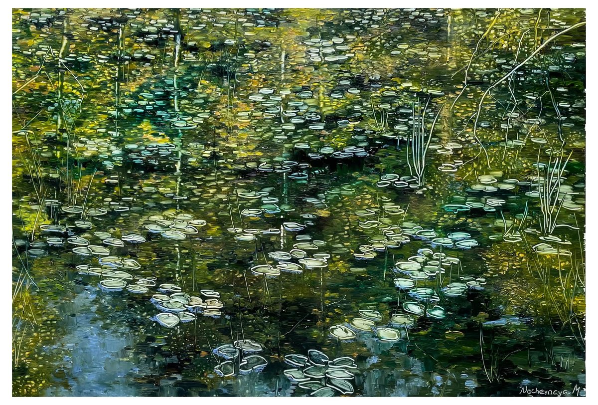 pond in the forest park by Maija Nochevnaya