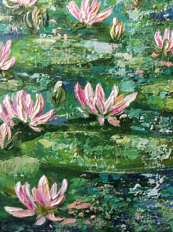 Waterlilies in the Rain