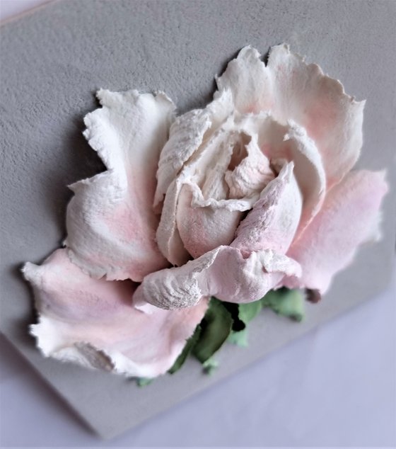 Relief flower painting with white-pink rose on a grey backgroud. The Rose #1. 13.5x13.5x4cm