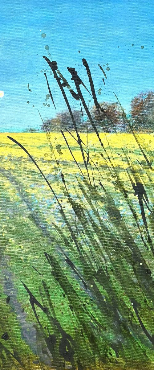The Path Home by Jennifer Taylor