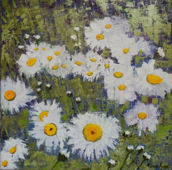 Daisies 1