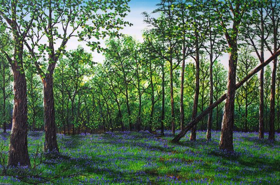 Glorious Spring Walk