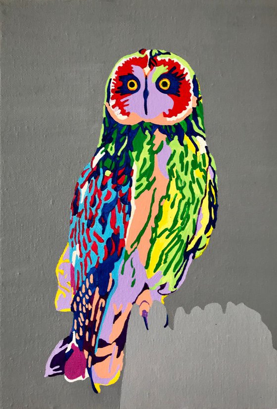Hoo-Dini The Owl