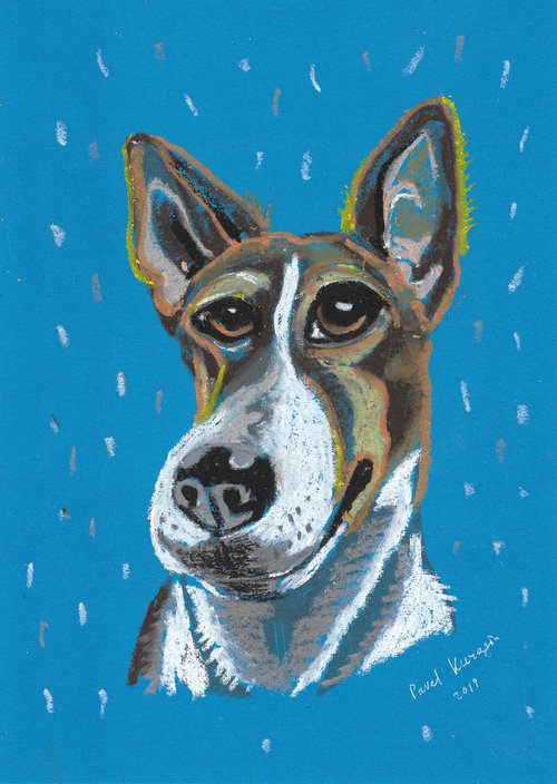 Dog and rain by Pavel Kuragin