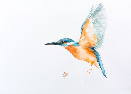 Kingfisher by Andrzej Rabiega