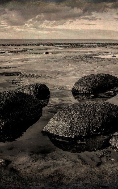 Beach Sentinals by Martin  Fry