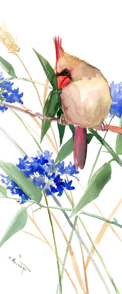 Female Cardinal Bird and field flowers by Suren Nersisyan