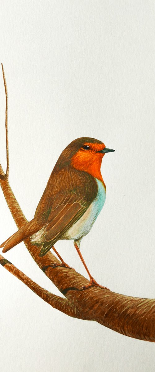 Robin on the magic branch by Karina Danylchuk