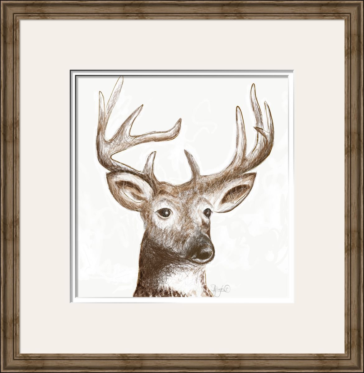 Illustrative Animal Giclee Print By Shabs Beigh, 16 X 16", Young Stag????, Original Artwork