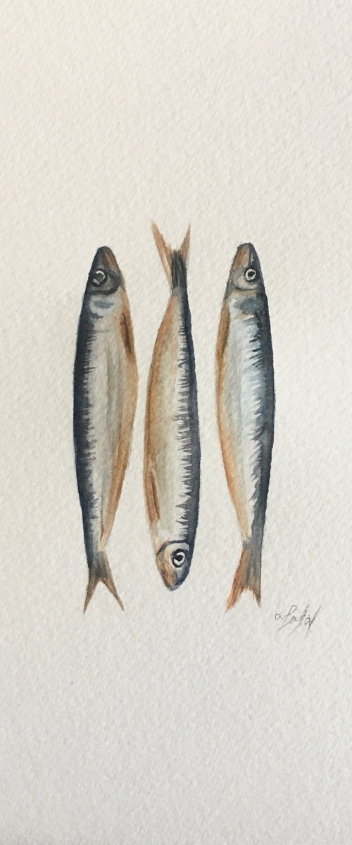 Three sardines by Amelia Taylor