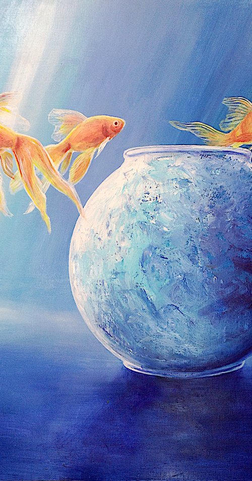 Goldfish XLIII by Daniel Loveday
