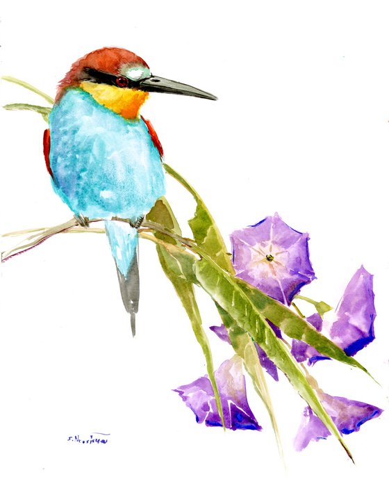 European Bee Eater Bird