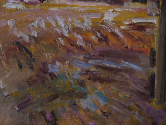 On the outskirts of Chernigov. Spring