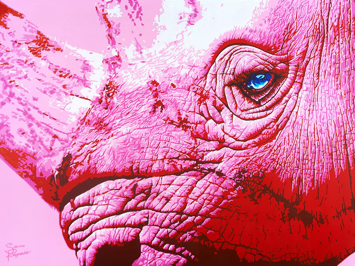 Pink Rhino by Sabrina Rupprecht