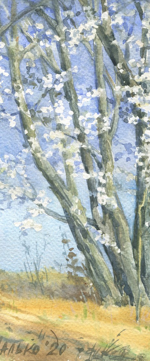 Blossoming tree on the sky background / Flowering wild plum tree White blue watercolor by Olha Malko