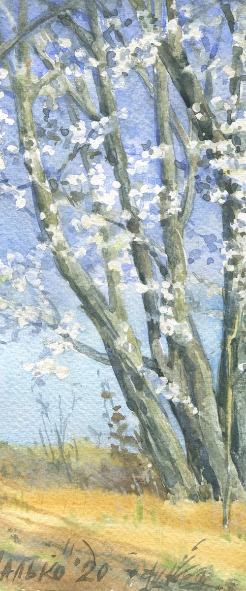 Blossoming tree Sky background by Olha Malko