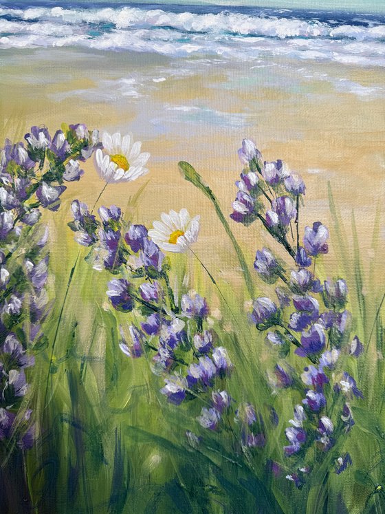 Sea Breeze and daisy days