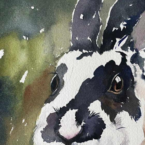 Oreo the Bunny