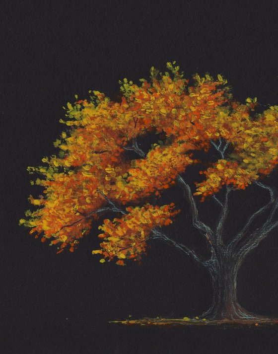 Flame tree