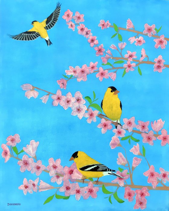 AMERICAN GOLDFINCH