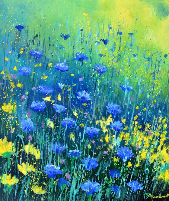 Blue and yellow wildflowers