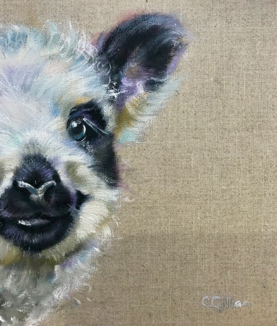 Babydoll, Purebred Olde English Babydoll Lamb Original Oil Painting