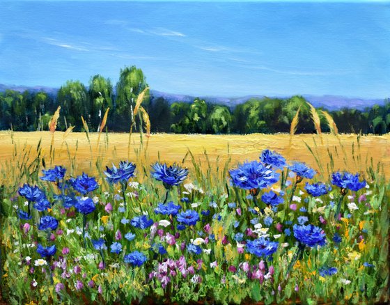 Cornflowers