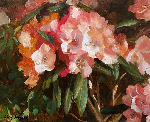Garden Rhododendron by Ling Strube