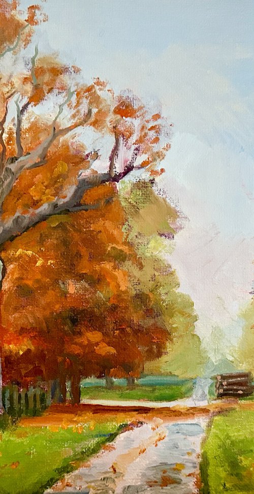 Old Oak by Toni Swiffen
