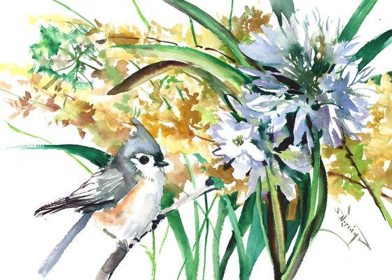 Titmouse Bird and Agapanthus flower